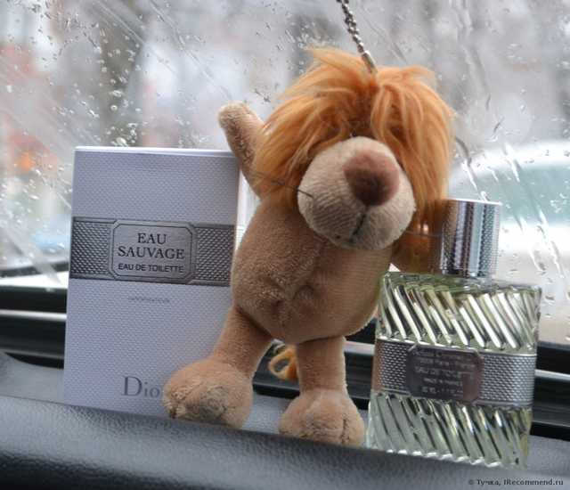 Dior EAU SAUVAGE (eau de toilette) - фото