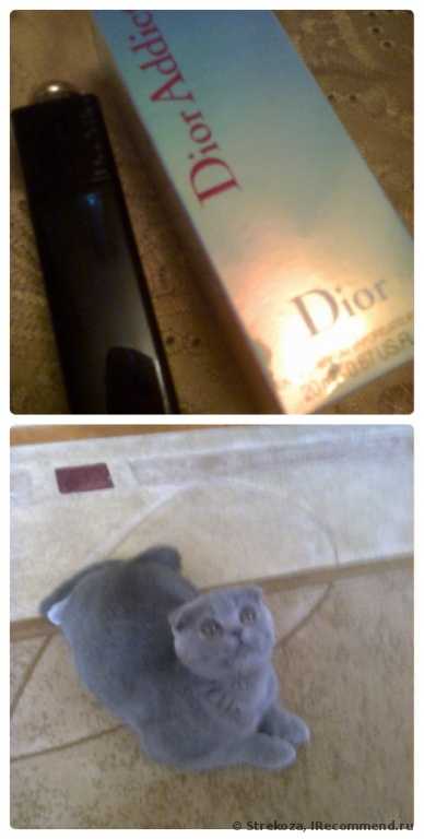 Dior Addict - фото
