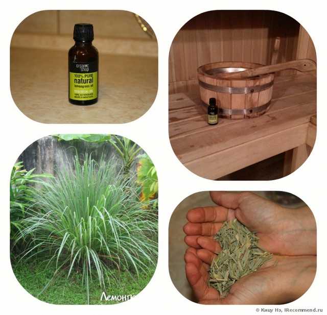 Эфирное масло ORGANIC SHOP Лемонграсс - фото