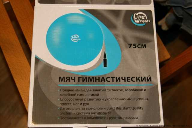 Мяч гимнастический  Lite Weights с насосом, 75 см - фото