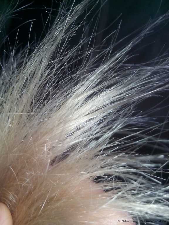 Серебристый шампунь CONCEPT для светлых оттенков для нейтрализации желтизны  silver shampoo for light-blond and blonded hair - фото