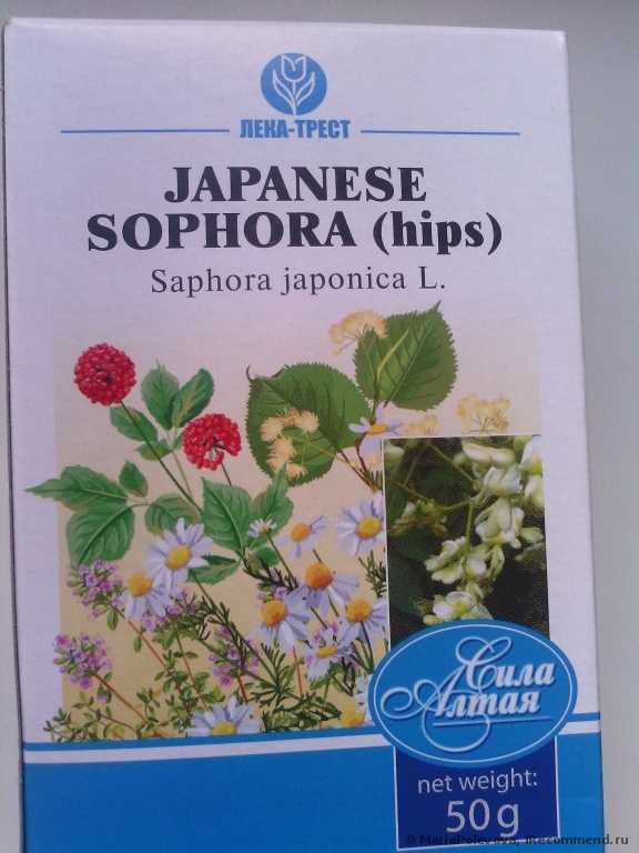 Лекарственные растения Софора Японская (плоды) - фото