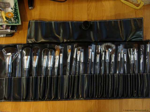 Кисти для макияжа Buyincoins Professional 24PCS Makeup Brushes Brush Set 2009 New - фото