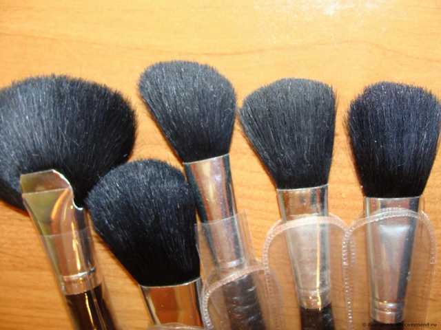 Кисти для макияжа Buyincoins Professional 24PCS Makeup Brushes Brush Set 2009 New - фото