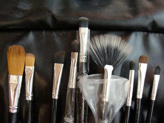 Кисти для макияжа Buyincoins Professional 24PCS Makeup Brushes Brush Set 2009 New - фото