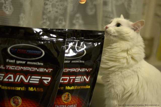 Кот одобряет эту продукцию!