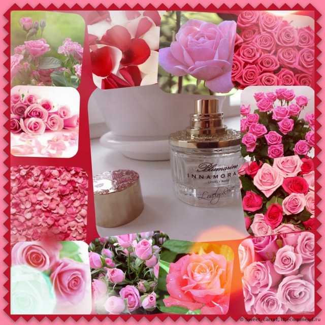 Blumarine Innamorata Lovely Rose - фото