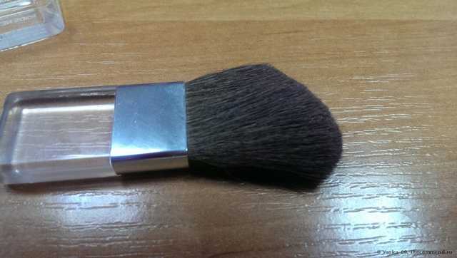 Румяна CLINIQUE Blushing Blush - фото