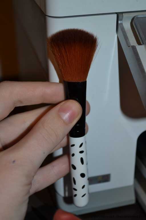 Набор кистей Buyincoins 5 Pcs Wool Makeup Brush Set - фото