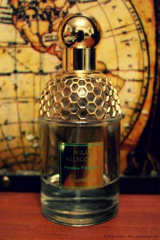 Guerlain Aqua Allegoria Herba Fresca - фото