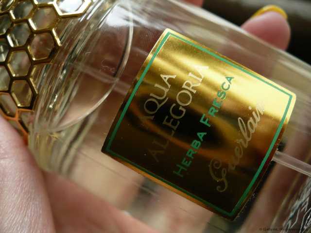 Guerlain Aqua Allegoria Herba Fresca - фото