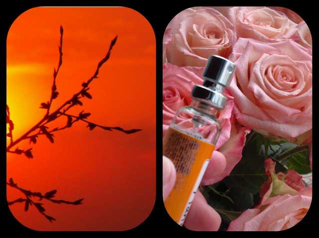 Парфюмерная вода Adopt' eau de parfum France by Reserve Naturelle - фото