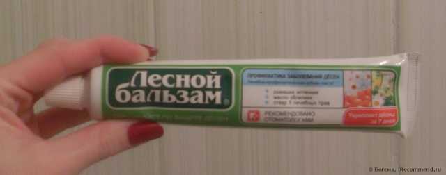 Зубная паста КАЛИНА Лесной бальзам для профилактики заболевания десен - фото
