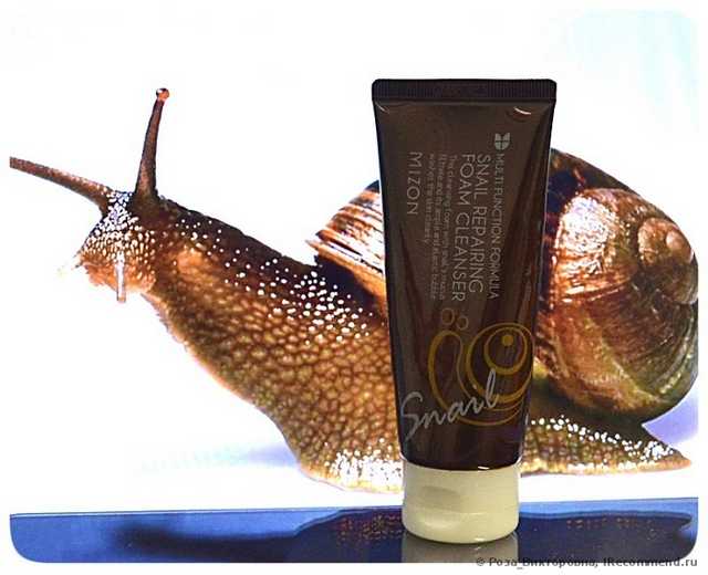 Пенка для умывания Mizon  Snail Repairing Foam Cleanser 60 мл. - фото