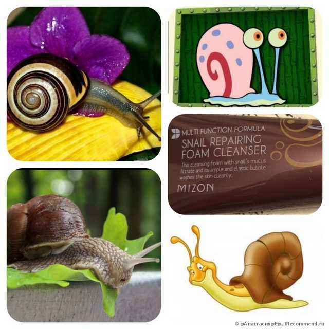 Пенка для умывания Mizon  Snail Repairing Foam Cleanser 60 мл. - фото