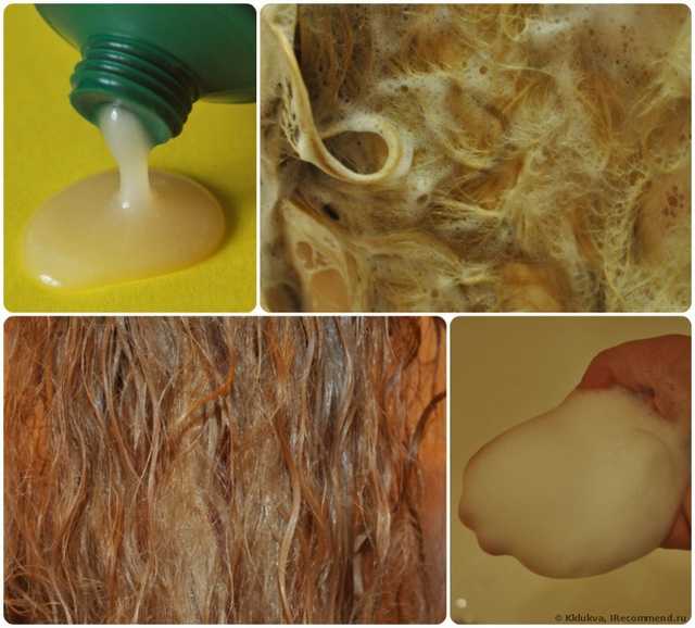Шампунь для сухих и поврежденных волос Fresh Line Эрато - фото