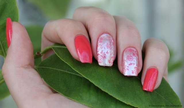Диск для стемпинга   Stamping Nail Art, Plate W Series - фото