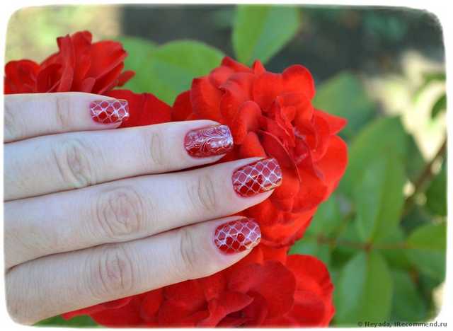 Диск для стемпинга   Stamping Nail Art, Plate W Series - фото