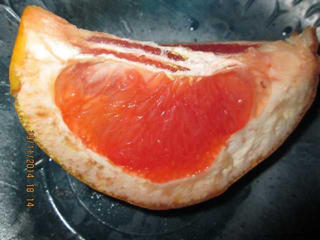 Грейпфрутовая диета - фото