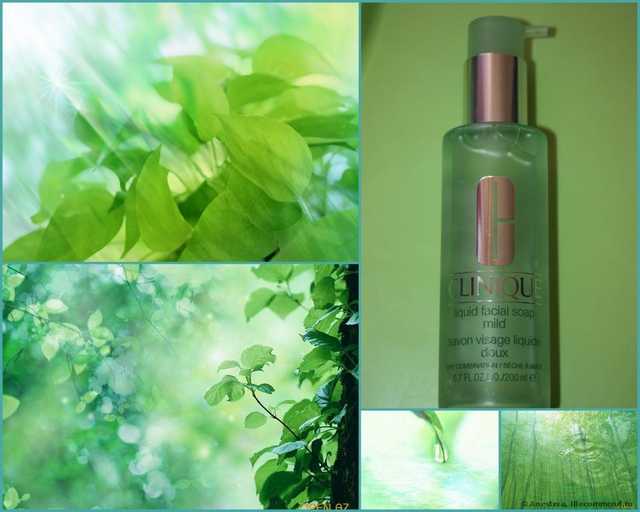 Мягкое жидкое мыло CLINIQUE Liquid Facial Soap Mild ( Тип кожи - II ) - фото