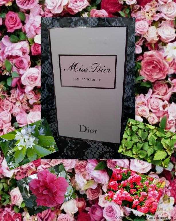 Dior Miss Dior Eau De Toilette 2013 - фото