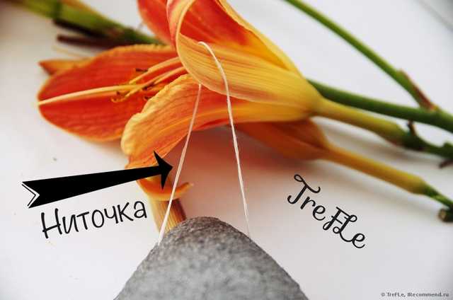 EcoTools, Pure Complexion Facial Sponge