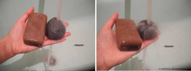 Спонж для лица EcoTools Pure Complexion Facial Sponge (Konjak/Конняку) - фото