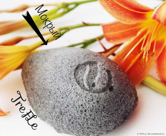 EcoTools, Pure Complexion Facial Sponge