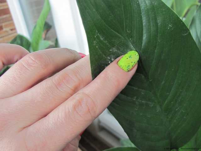 Лак для ногтей Dance legend Exotic Fruit - фото