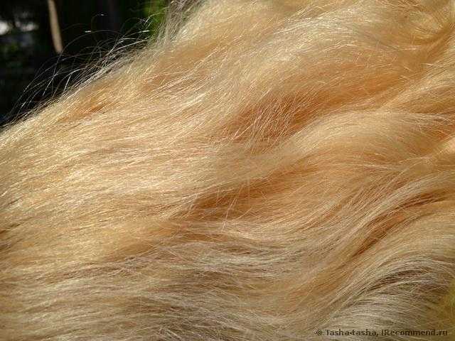 Краска для волос Schwarzkopf Brillance - фото