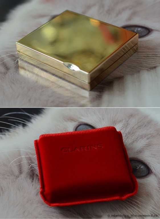 Пудра компактная Clarins Ever Matte - фото