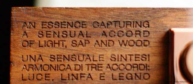 Dsquared she WOOD - фото