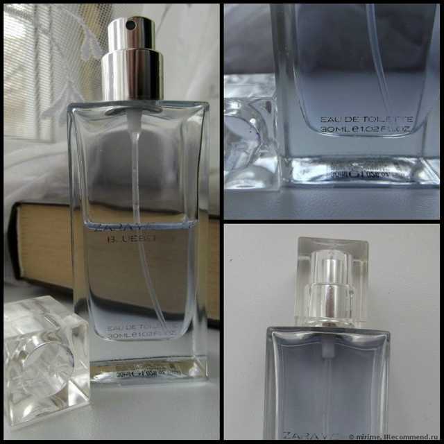 Zara Woman Blueberry - фото