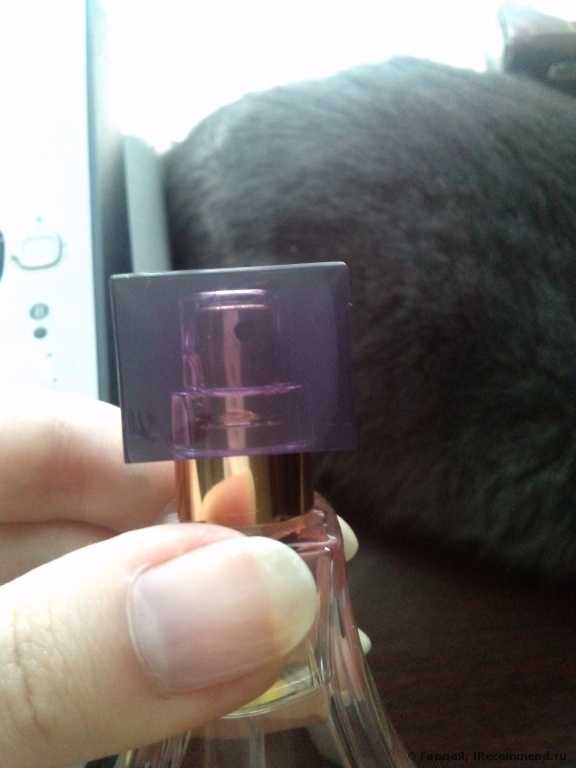 Avon Parisian Chic - фото