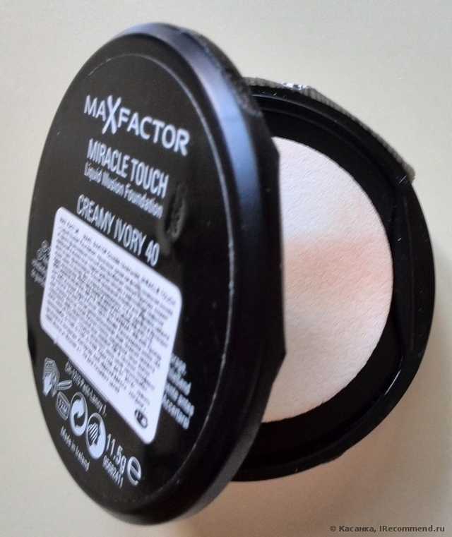 Спонжик