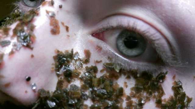 Ламинария слоевища Морская капуста - фото