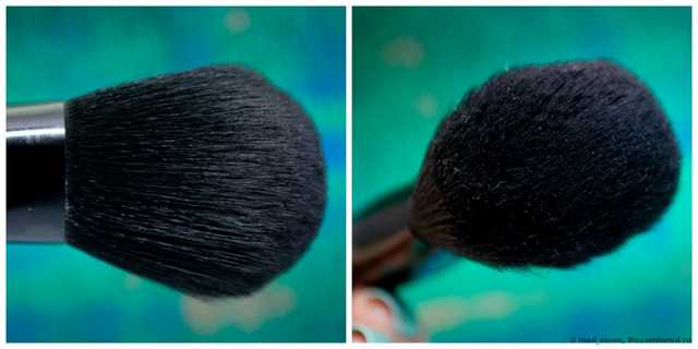Complexion Brush 