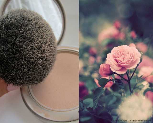 Пудра ArtDeco pure minerals compact powder - фото