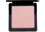 Пудра Catrice Skin Finish Compact Powder Пудра Catrice Skin Finish Compact Powder