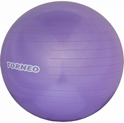 Фитбол Torneo 65 см Фитбол Torneo 65 см