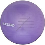 Фитбол Torneo Гимнастический мяч А 209 Фитбол Torneo Гимнастический мяч А 209