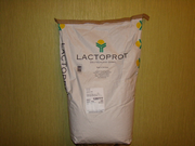 Спортивное питание Lactomin 80 Спортивное питание Lactomin 80