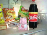 Diet Piggy Хрюшка-диетолог Diet Piggy Хрюшка-диетолог