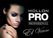 Гель-лак для ногтей Mollon PRO professional HybridShine